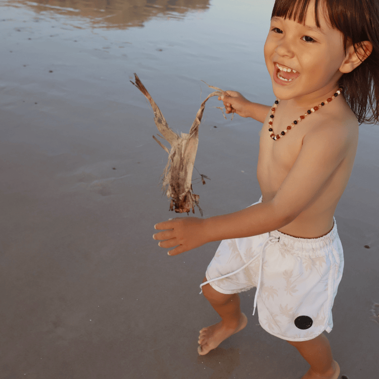 Calm Palm Kids Recycled Boardshorts